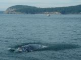 Freddie approaches our boat