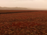 High Desert Color