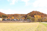 Colors in the Valley 