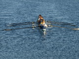 Rowing For Fun