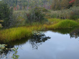 Fall In The Evening