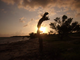 Bahia Honda