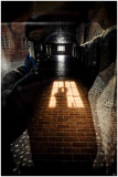 2nd Place<br>my shadows and reflections<br>Arn