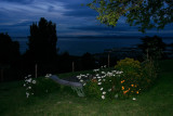 Viewpoint