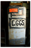 Got eggs!