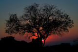 9th Place - Silhouette - by AM