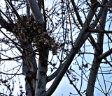 Last of Fall