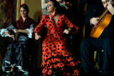 Lady in Red