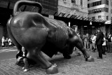 Charging Bull