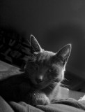 on the warm spot