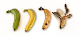 yes, we have no bananas