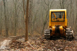Good-bye Forest
