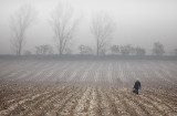 After-harvester