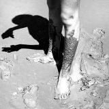 Summer of 2006