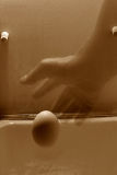 Equinox Two *