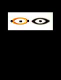 * Eye of the photographer