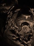 The Lions of San Marco