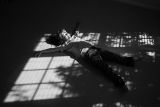 enjoying a sunbeam