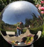 Silver Ball