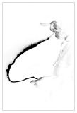 Negative