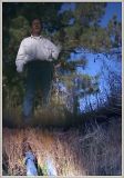 In The Pond