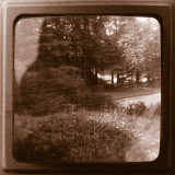 Duraflex View