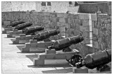 Cannon with Canon