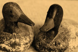 Decoys