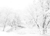 Snow