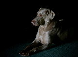 Greta
