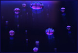 Planets and Stars