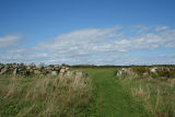 October at Allens Pond