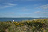 Ocean View from Gooseberry Neck