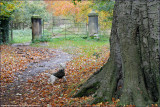 26th October 2009