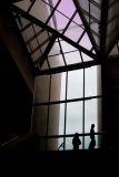 Silhouette
