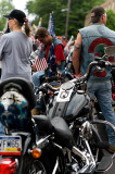 D3A_6689