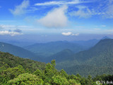View from the highest point in Mount Brinchang.jpg