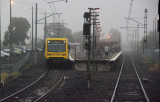 Foggy Lalor