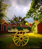 flowerwagon  sweden