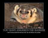 you-have-angered-the-badger.jpg
