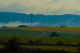 Vineyard w/ Lifting Fog