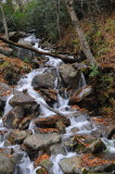 Mountain Falls