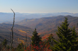 Clingmans Dome