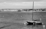 Sailboat Moored Near Fishermans Wharf