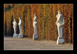 Versailles gardens (EPO_5673)