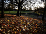 Bass Recreation Ground, Derby