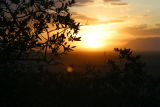 Amboseli - Sunset