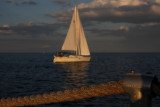 sunset sail