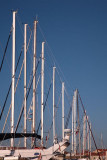 Masts jamborji_MG_9994-1.jpg