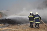 Fire fighters in action gasilca v akciji_MG_0470-1.jpg